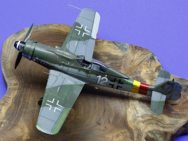 Focke-Wulf Fw 190 D-9