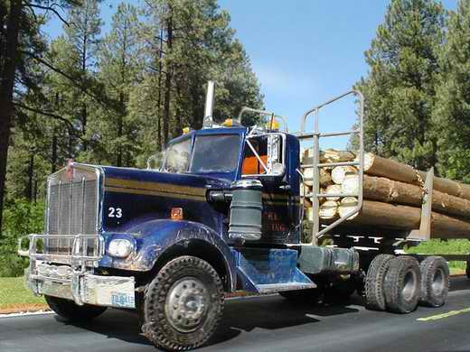 Kenworth W925