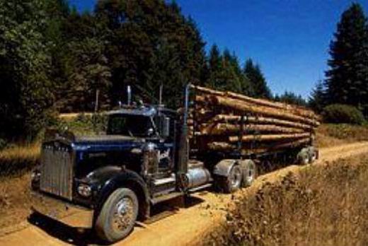 Kenworth 925 mit Logging Trailer