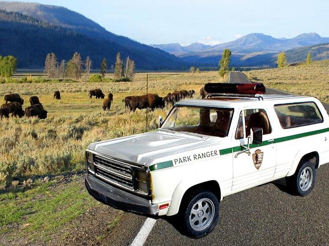 1979 Dodge Ramcharger