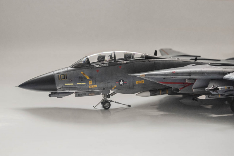 Grumman F-14D Super Tomcat