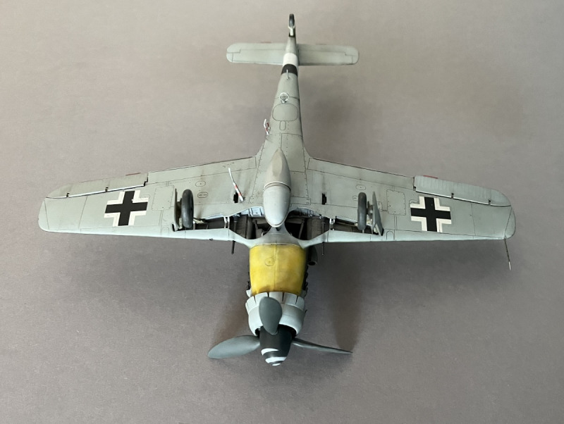 Focke-Wulf Fw 190 D-9