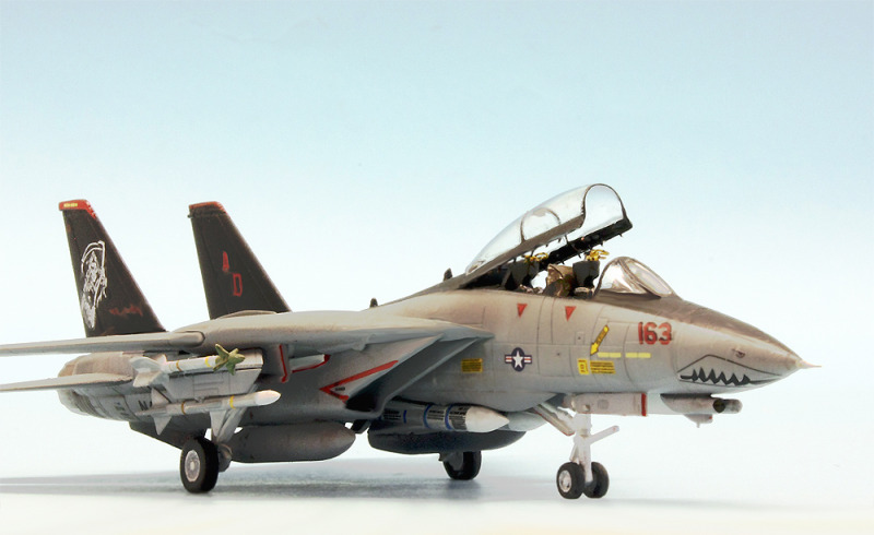 Grumman F-14D Tomcat