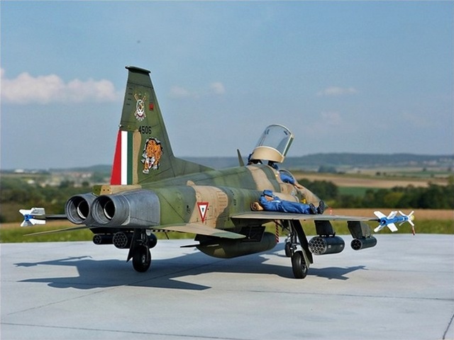 Northrop F-5E Tiger II