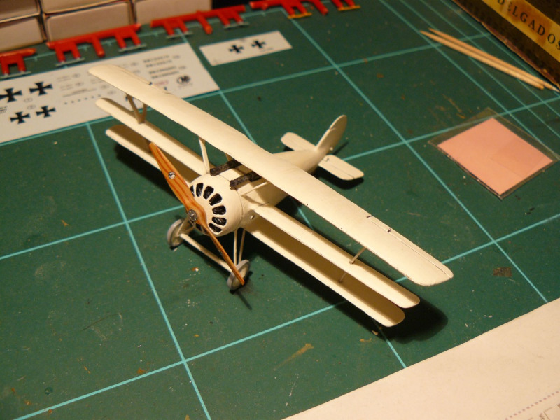 Pfalz Dr.I, CMR 172 von Olly Junge