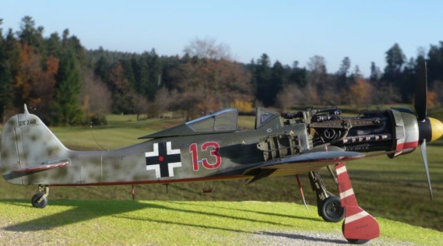 Focke-Wulf Fw 190 D-9