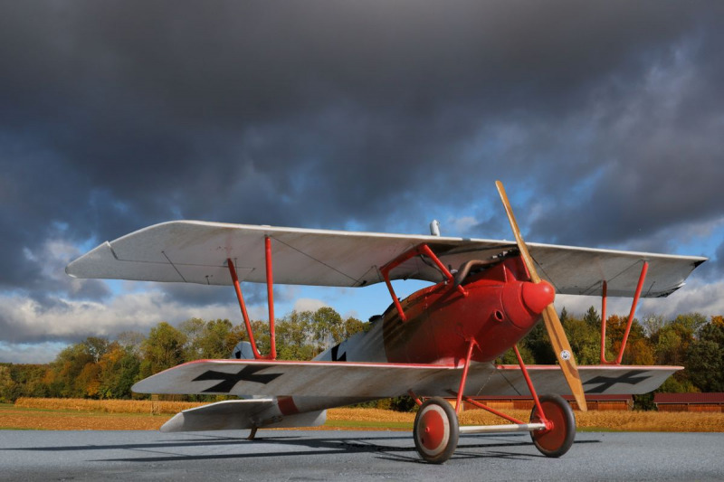 Pfalz D.III