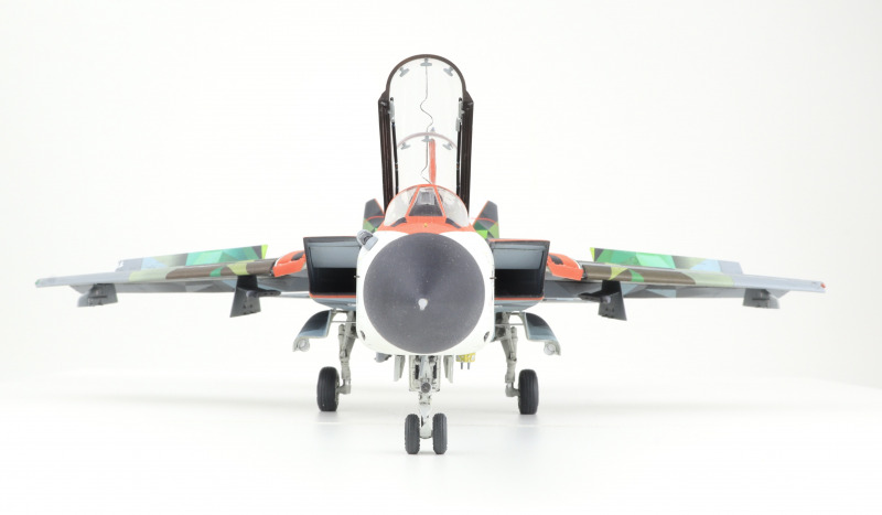 Panavia Tornado Fifty Years