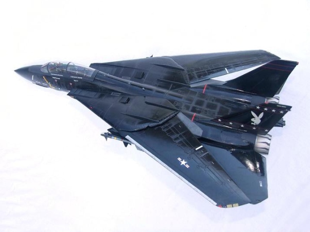 Grumman F-14D Tomcat