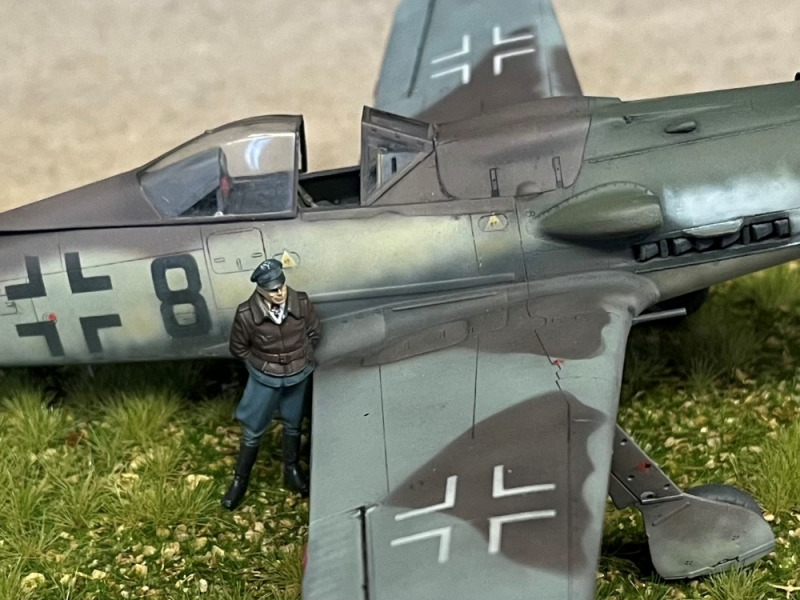 Focke-Wulf Fw 190 D-9