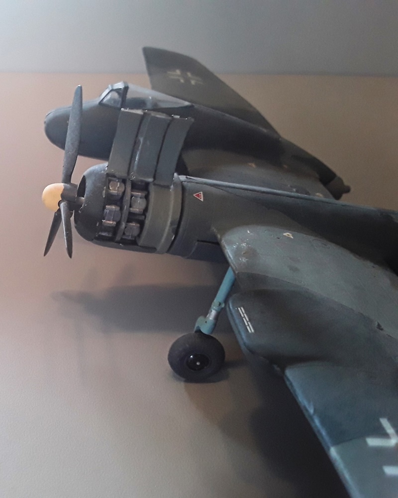 Blohm & Voss BV P 194
