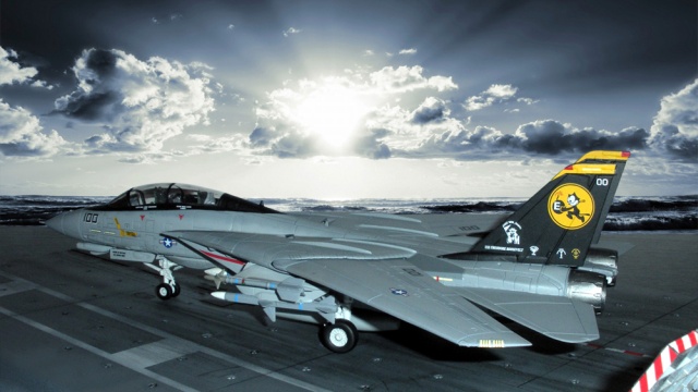 Grumman F-14D Tomcat