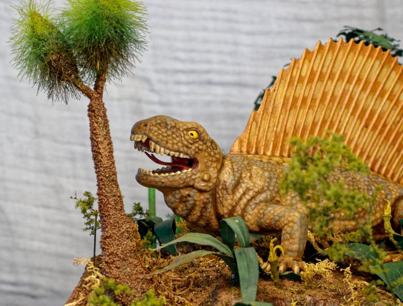 Dimetrodon