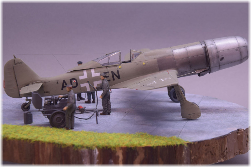 Focke-Wulf Fw 190 TL