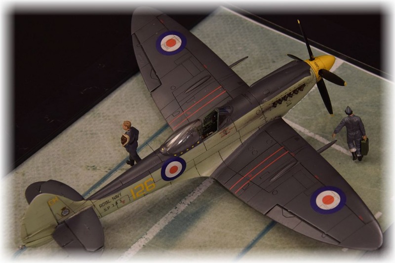 Supermarine Seafire F.XVII