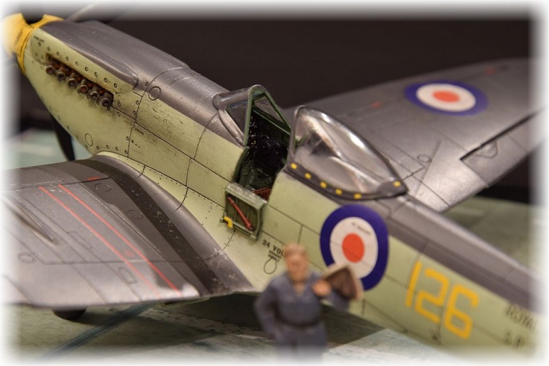 Supermarine Seafire F.XVII