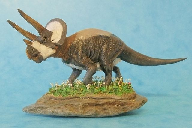 Triceratops horridus