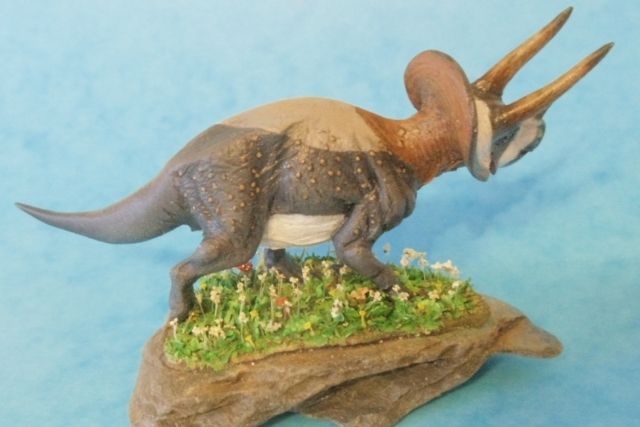 Triceratops horridus