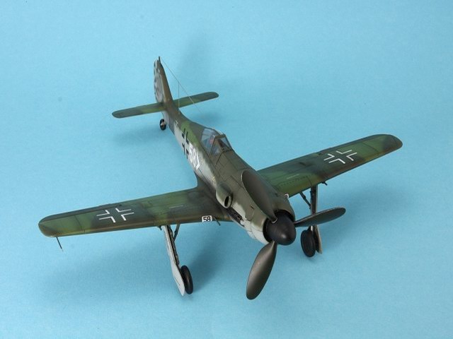 Focke-Wulf FW 190 D-11 