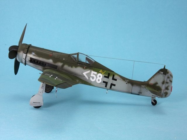 Focke-Wulf FW 190 D-11 