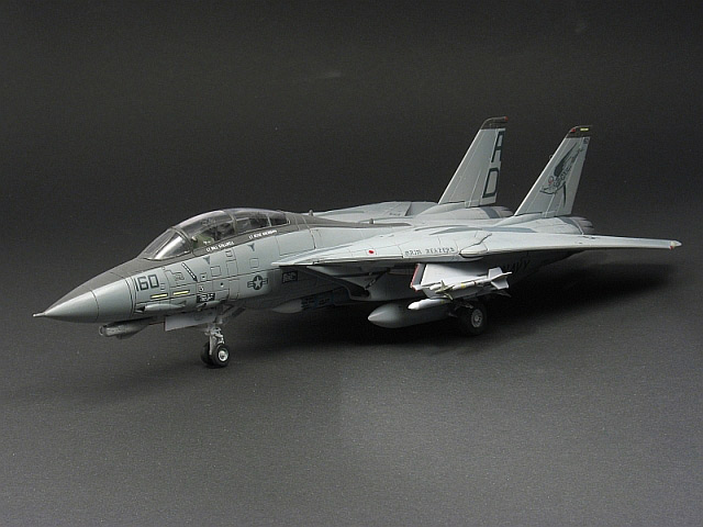 Grumman F-14D Tomcat