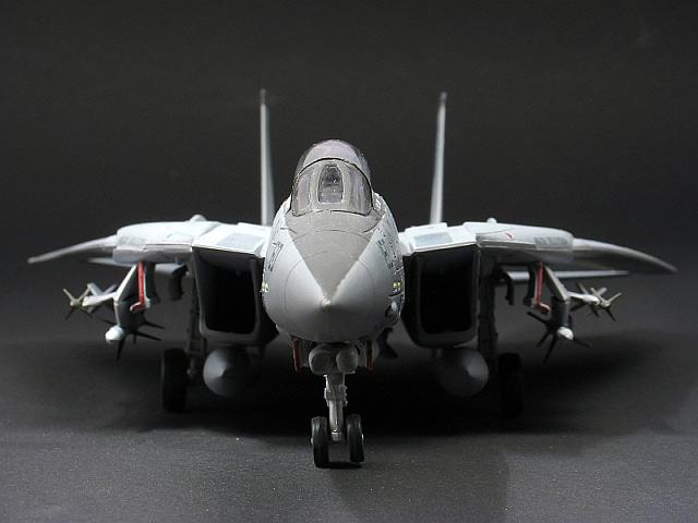 Grumman F-14D Tomcat