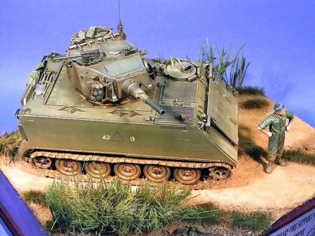 M113A1 FSV