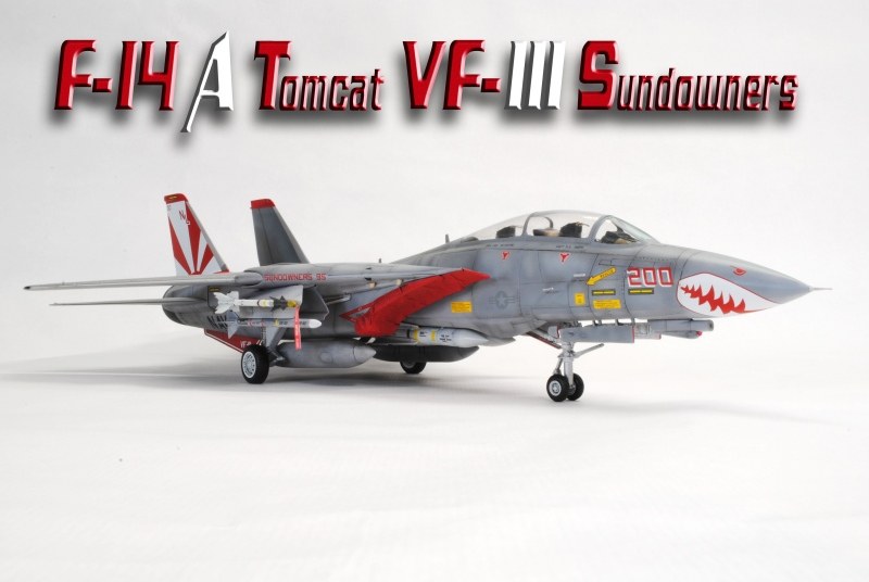 Grumman F-14A Tomcat