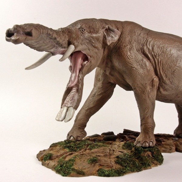 Platybelodon