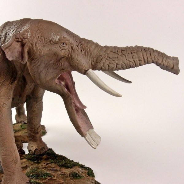 Platybelodon