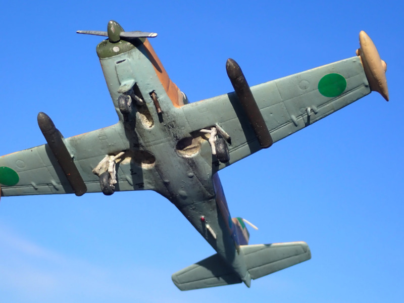 SIAI Marchetti SF-260W