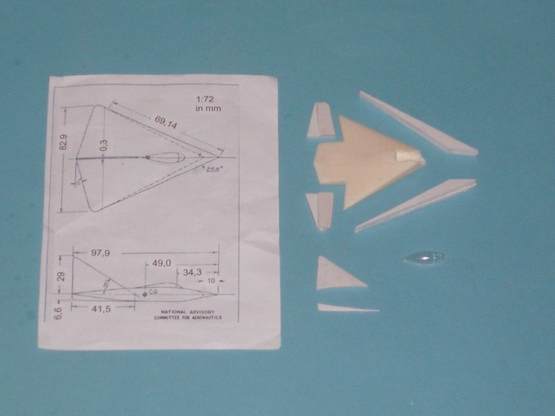 Lippisch DM 1