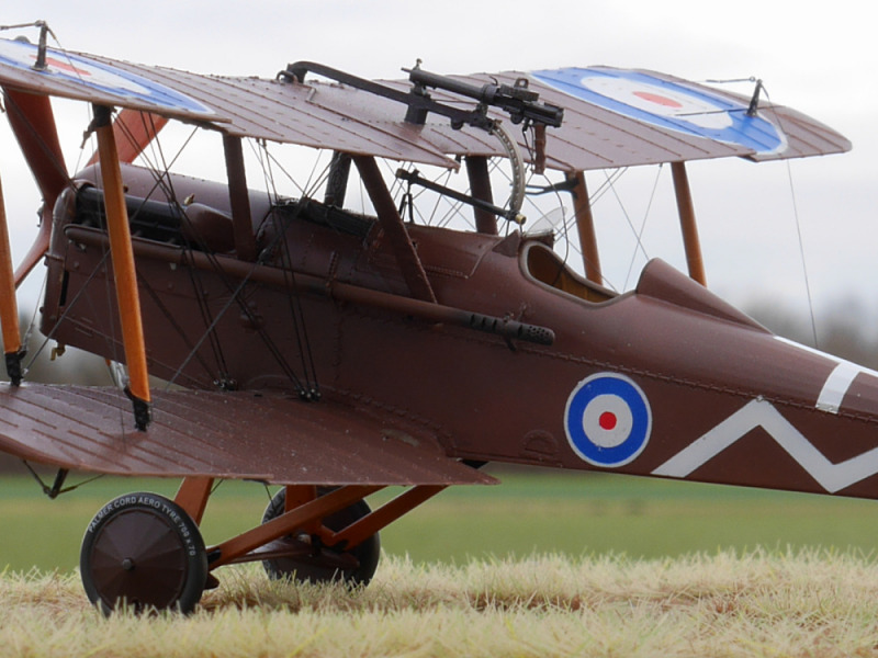 Royal Aircraft Factory S.E.5a (Original) by Daniel-Wales-Images on