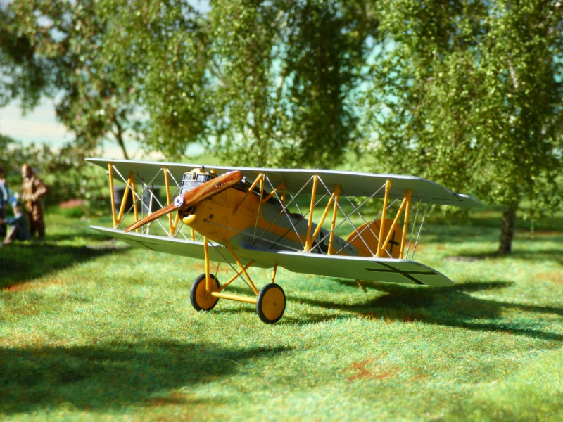 Pfalz D.XII