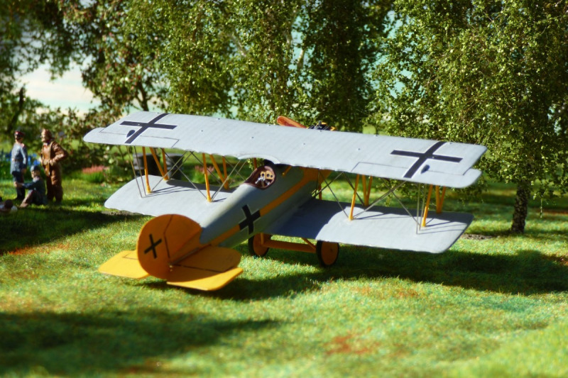 Pfalz D.XII