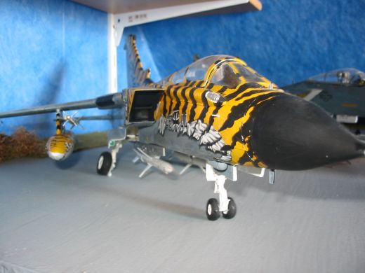 Panavia Tornado ECR