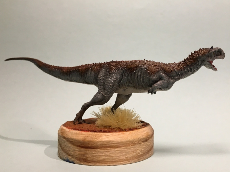 Majungasaurus crenatissimus