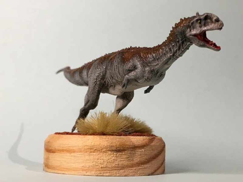 Majungasaurus crenatissimus