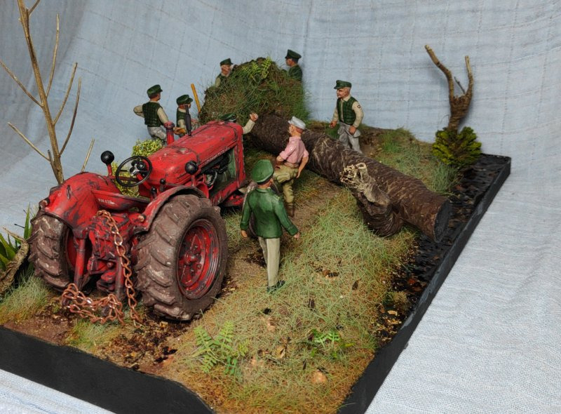 Das Geheimnis im Moor