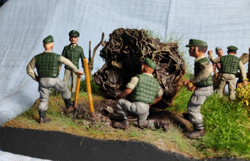 Das Geheimnis im Moor