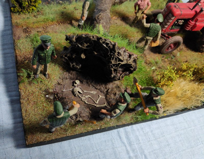 Das Geheimnis im Moor