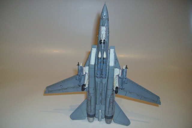 Grumman F-14D Tomcat