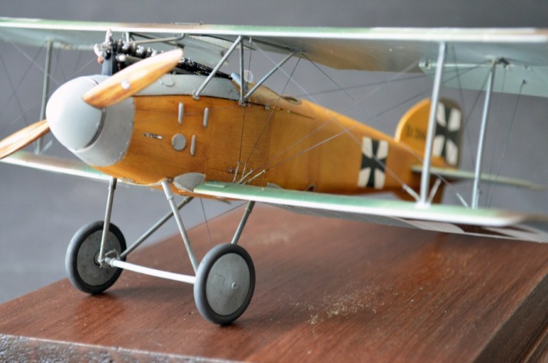 Albatros D.II