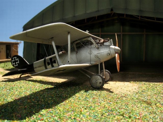 Pfalz D.III