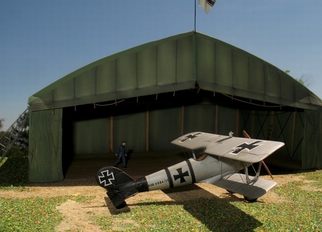 Pfalz D.III