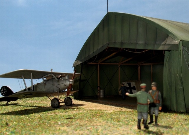 Pfalz D.III