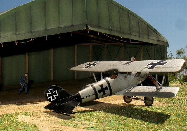 Pfalz D.III