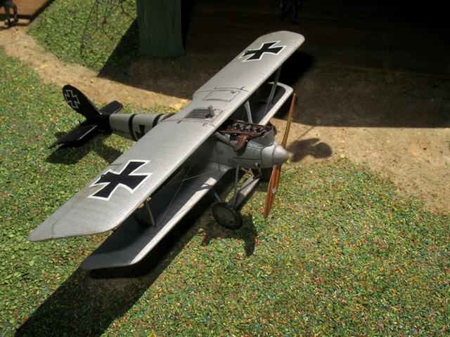 Pfalz D.III