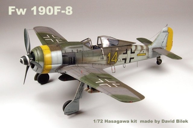 Focke-Wulf Fw 190 F-8