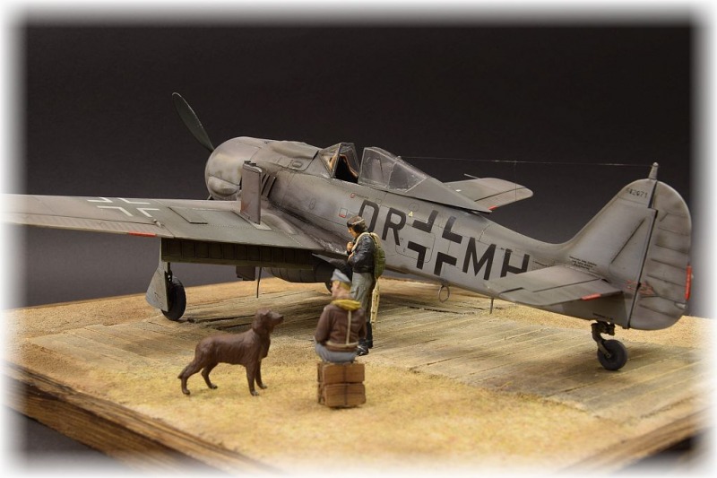 Focke-Wulf Fw 190 F-8 (V75)